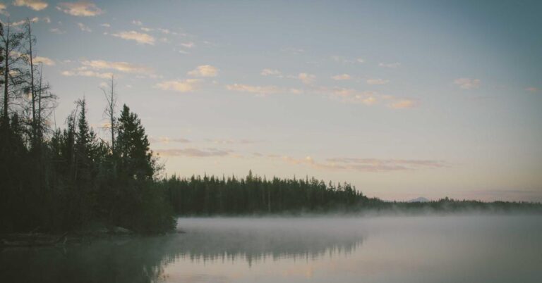 Misty lake with forest shoreline at calm dawn light nature landscape