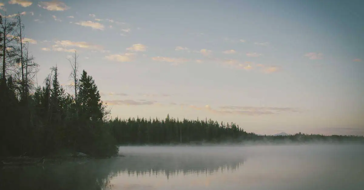 Misty lake with forest shoreline at calm dawn light nature landscape
